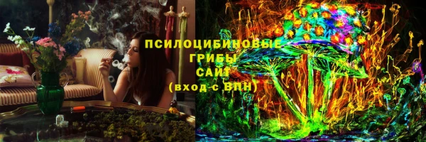 СК Гусь-Хрустальный